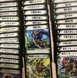 選択制 デュエル・マスターズカード