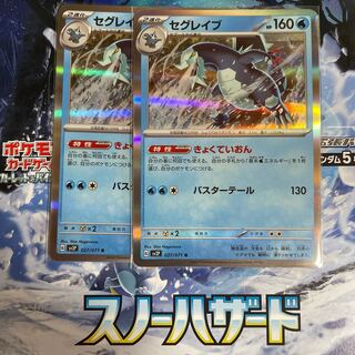 セグレイブ R 027/071