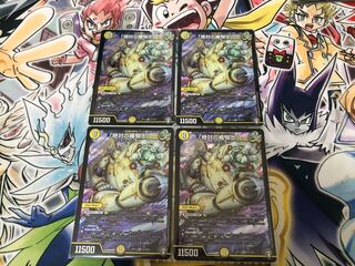 「絶対の楯騎士」 SR S1/S11