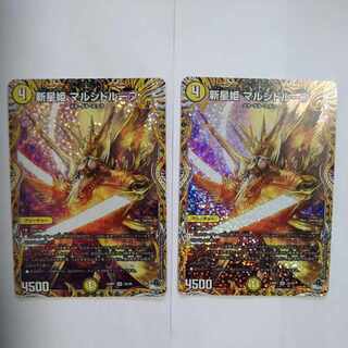 新星姫 マルシドループ(シークレットレア仕様) SR 2A/20　2枚セット
