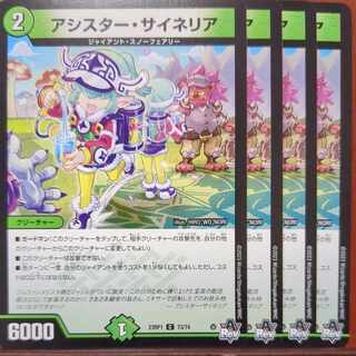 srsセット割引　アシスターサイネリア