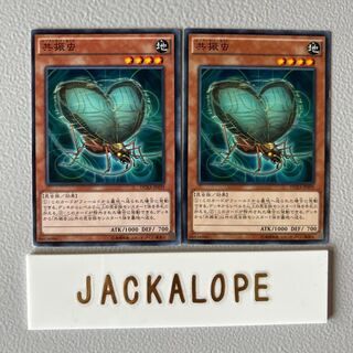 10829 Resonance Insect Normal JP039 $7369