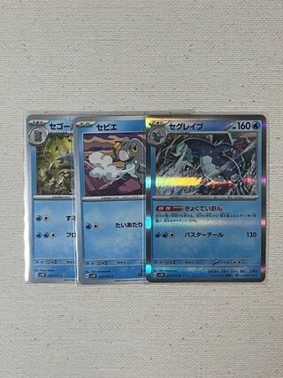 セグレイブ R 027/071