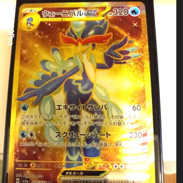 2口限定!!ウォーニバルex UR