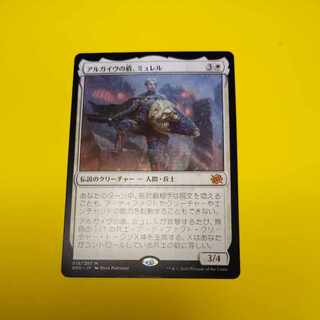 【落札後48時間以内に発送】アルガイヴの盾、ミュレル 1枚