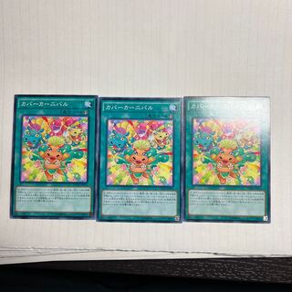 カバーカーニバル ノーマル JP055