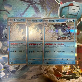 セグレイブ R 027/071 ３点