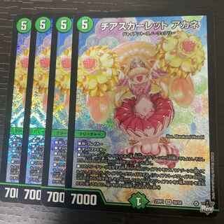 チアスカーレット アカネ 4枚セット