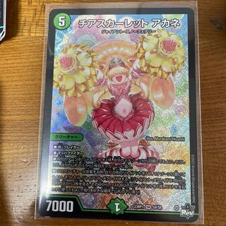 Cheer Scarlett Whitney