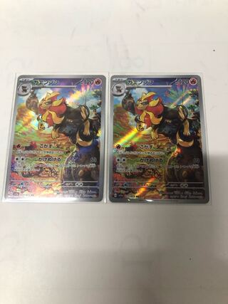 カエンジシ AR 077/073 2枚セット