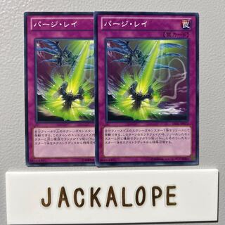 10834 パージ・レイ ノーマル JP072