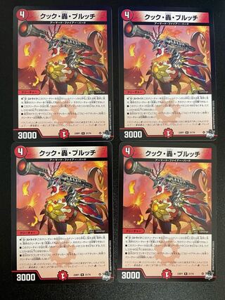 Cook, Roaring Brucci R 21/74 (set of 4)