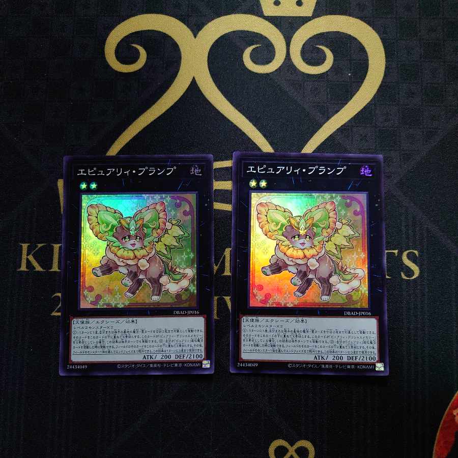 Epurely Plump Super Rare JP016