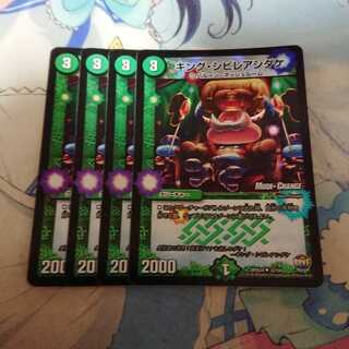 キングシビレアシダケ 4枚