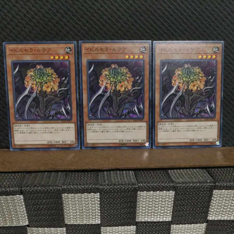 【ぽぽたん】遊戯王 3869 イビルセラ・ルテア ノーマル 3枚