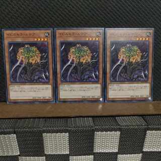 【ぽぽたん】遊戯王  3869  イビルセラ・ルテア  ノーマル  3枚