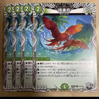 極楽鳥(黒トレジャー) R T12/T20