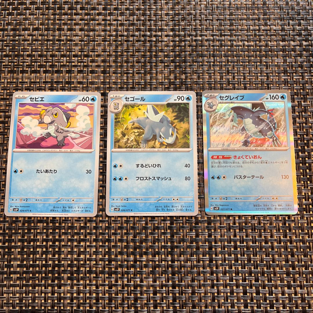 セグレイブ R 027/071