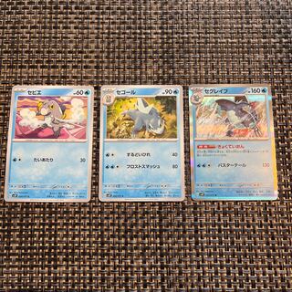 セグレイブ R 027/071