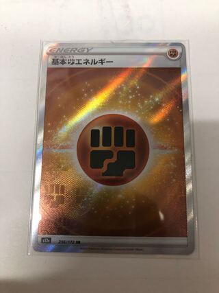 基本闘エネルギー SR 256/172