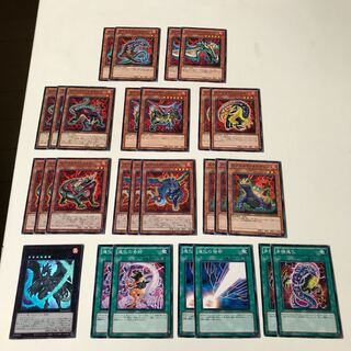 エヴォルド　エヴォルダー　パーツ　キラ1枚　全28枚