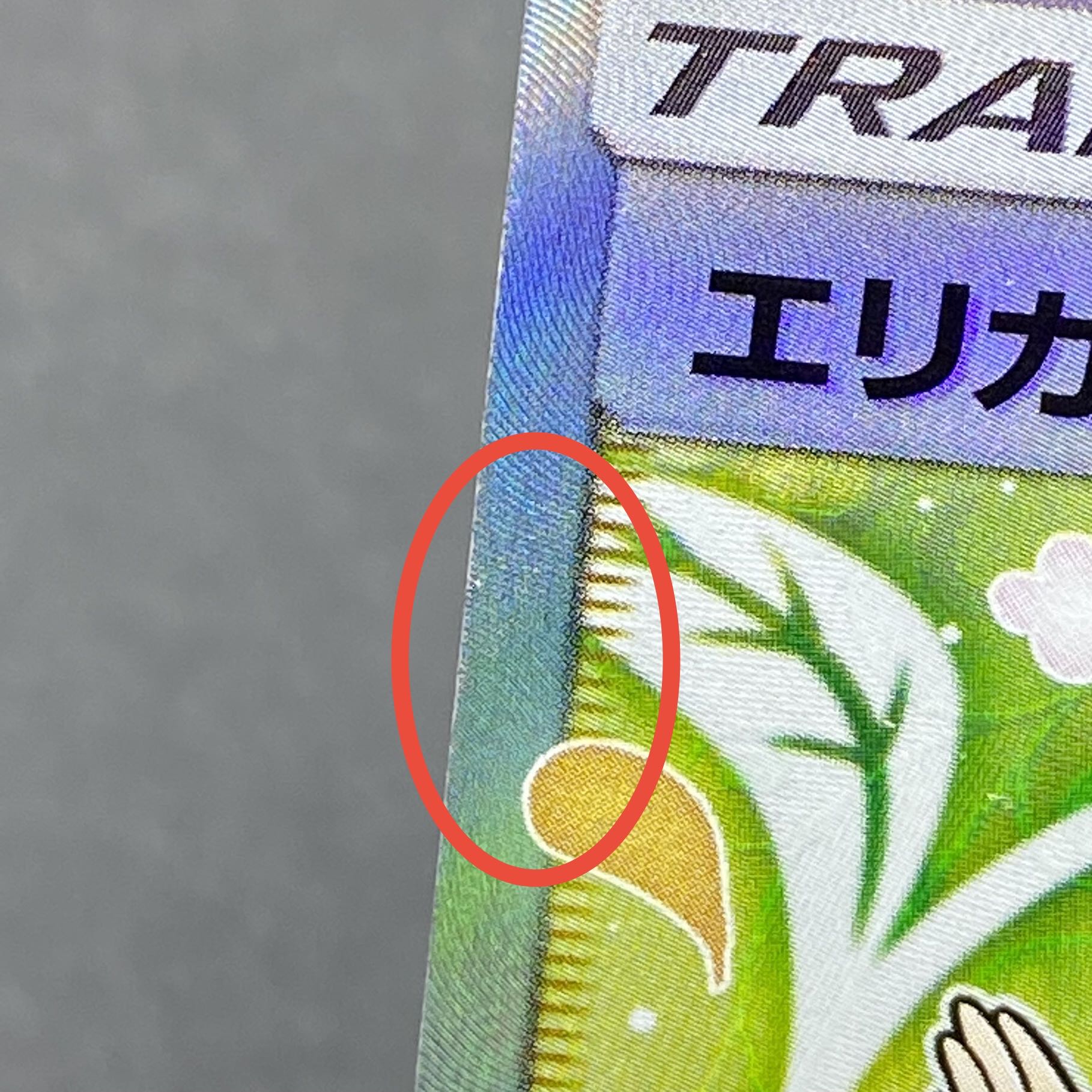 エリカのおもてなし SR 107/095