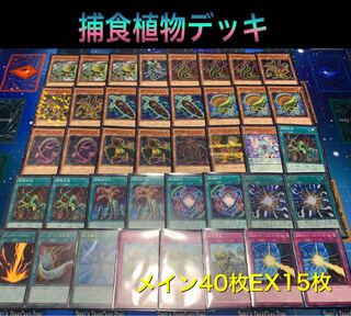 捕食植物デッキ