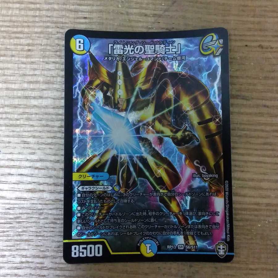 雷光の聖騎士/ライトニングパラディン