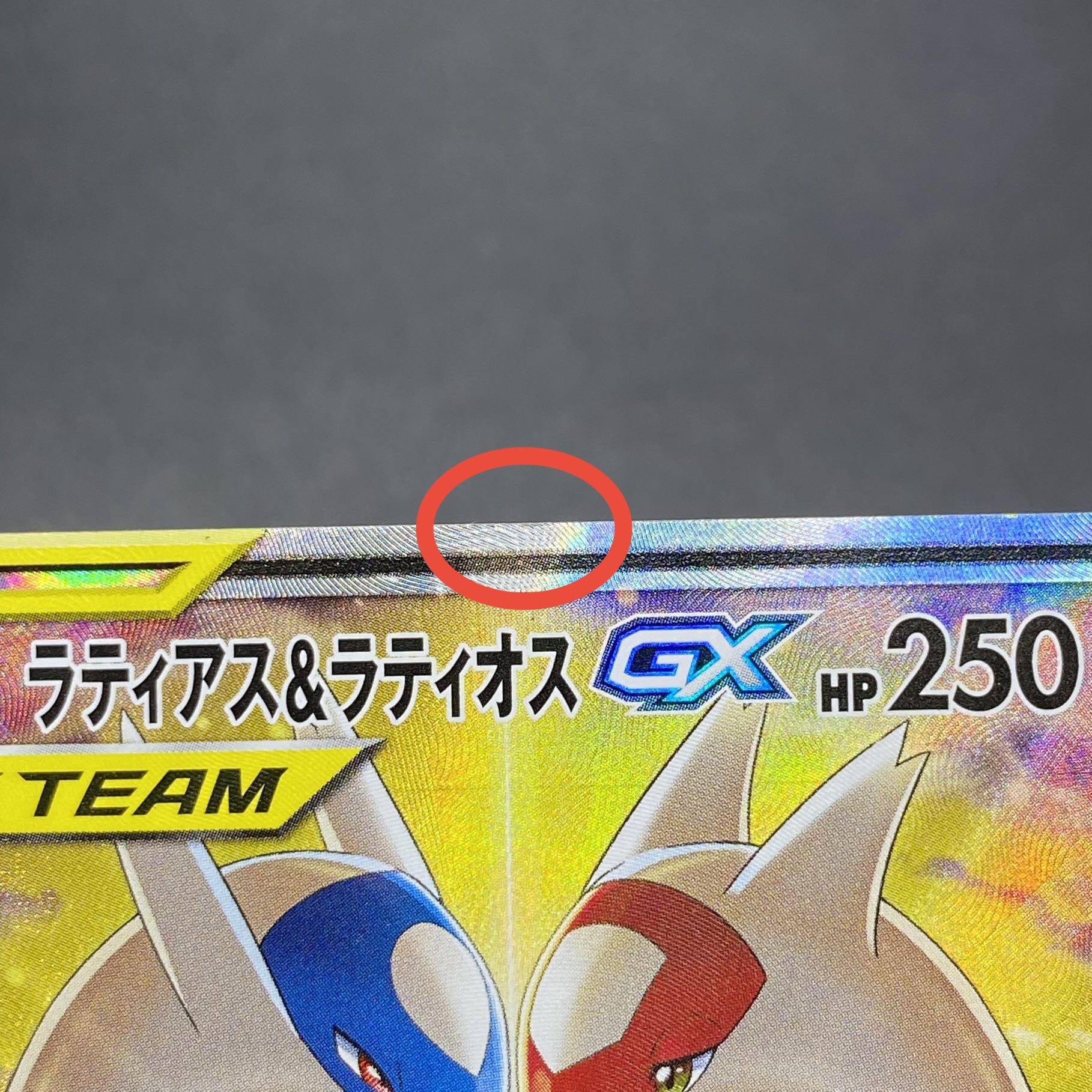 ラティアス＆ラティオスGX 1枚