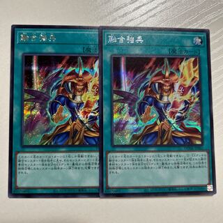 Polymerization strong soldier Secret DUNE-JP061 2 copies