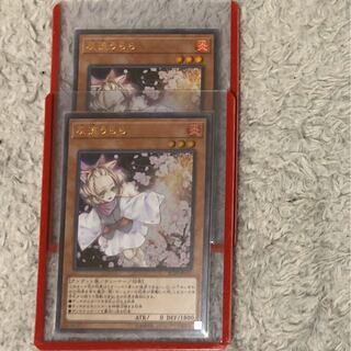 灰流うらら　2枚セット