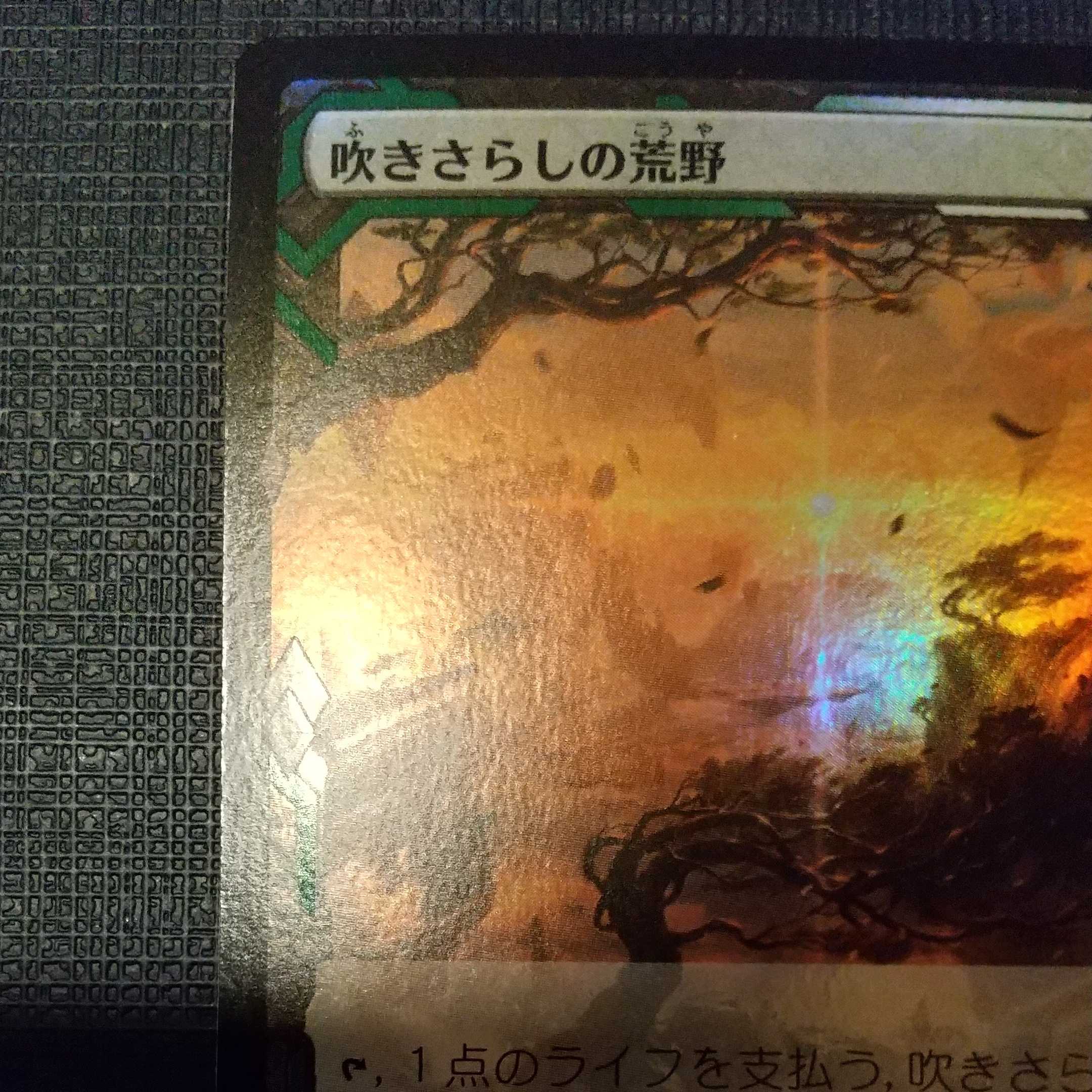 (Last Price Reduction)[ZNE] Windswept Heath foil