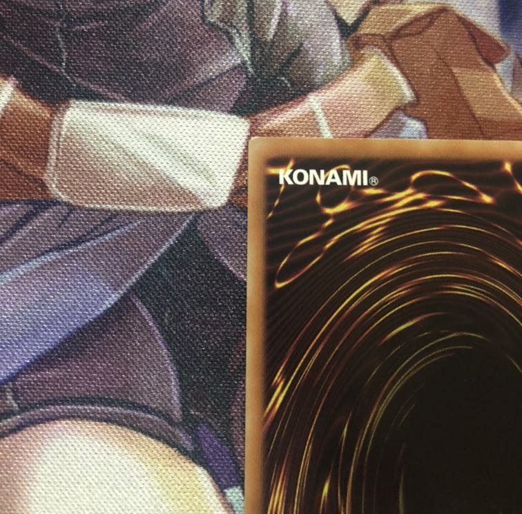 ドラゴンメイドティルル1枚 1枚