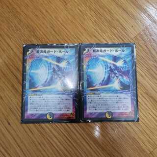 超次元ガードホール