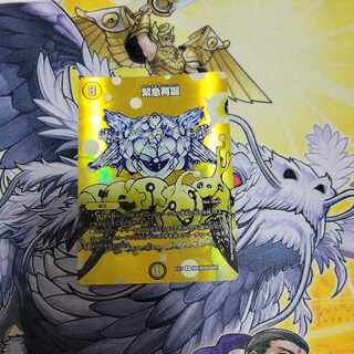 緊急再誕 R-foil 超6/超40[2004]　1枚