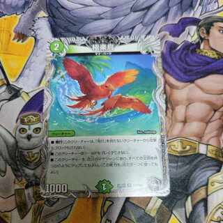 Birds of Paradise (Black Treasure) R T12/T20 1 piece