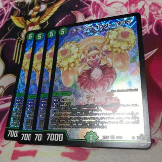 チアスカーレットアカネ SR S8/S8 23RP1 追跡あり