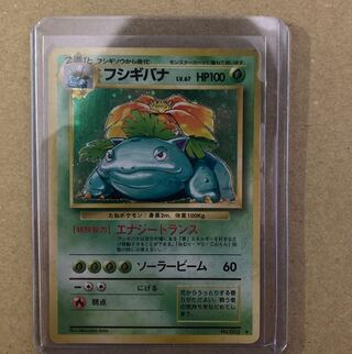 Venusaur Old Back
