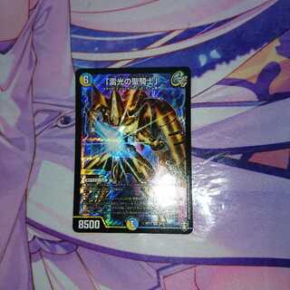 ｢雷光の聖騎士｣