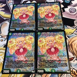 チアスカーレット アカネ