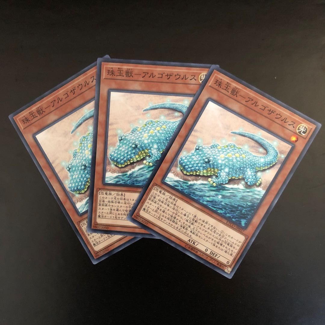 【N】珠玉獣-アルゴザウルス-【ノーマル】