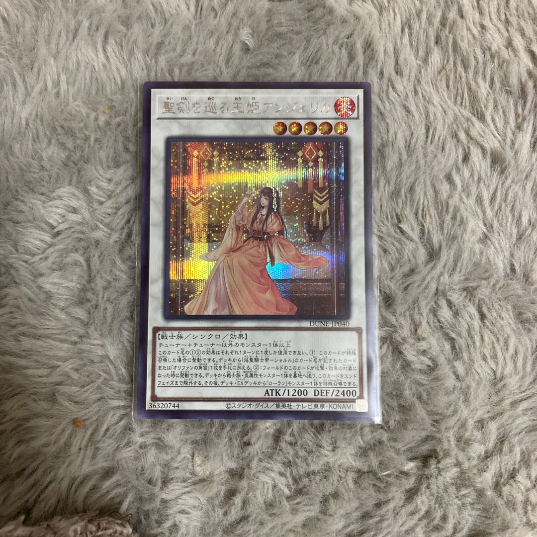 聖剣を巡る王姫アンジェリカ