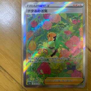 ポケモンカード　ナタネの活気　SAR