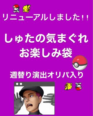 【リニューアル!演出付き!】しゅたの気まぐれお楽しみ袋 1枚