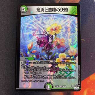 Blight and Abundance Decision VR 8/74