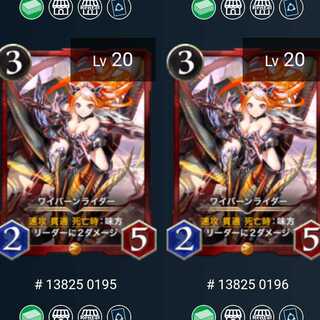 ワイバーンライダー2枚セット