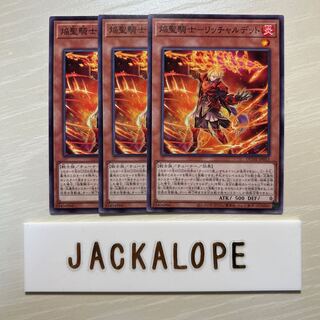 10843 焔聖騎士-リッチャルデット ノーマル JP013