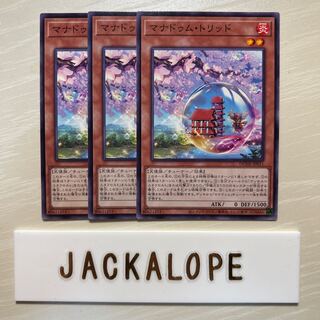 10844 Manadum trid $7408