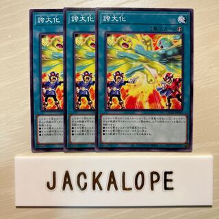 10847 Hype Normal JP065