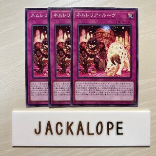 10851 Nemurelia Louv $7417